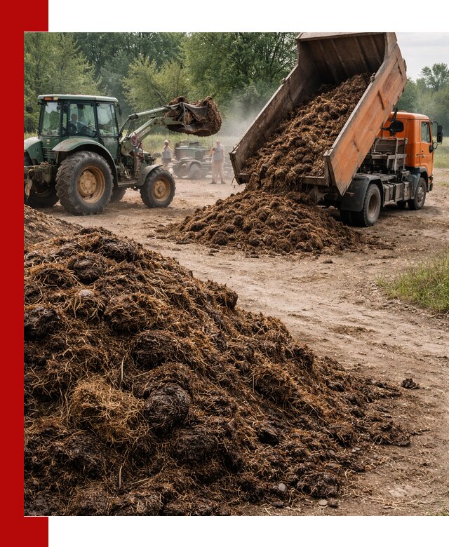 Доставка навоза самосвалами в Магнитогорске для сельхозпотребностей